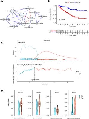 CSER: a gene regulatory network construction method based on causal strength and ensemble regression